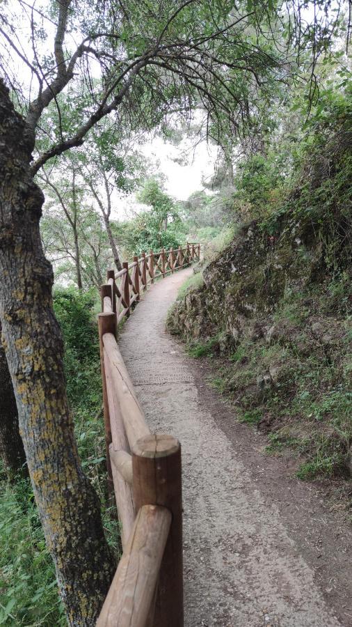 Puente Viejo De Buitrago Casa Encina Lägenhet Buitrago del Lozoya Exteriör bild